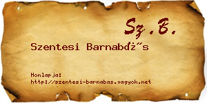 Szentesi Barnabás névjegykártya
