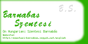 barnabas szentesi business card